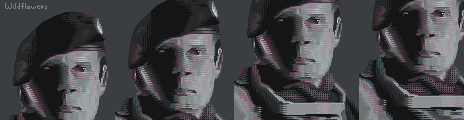 HEADSHOT Palette Example by xarss