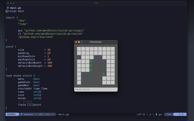 raylib screenshot
